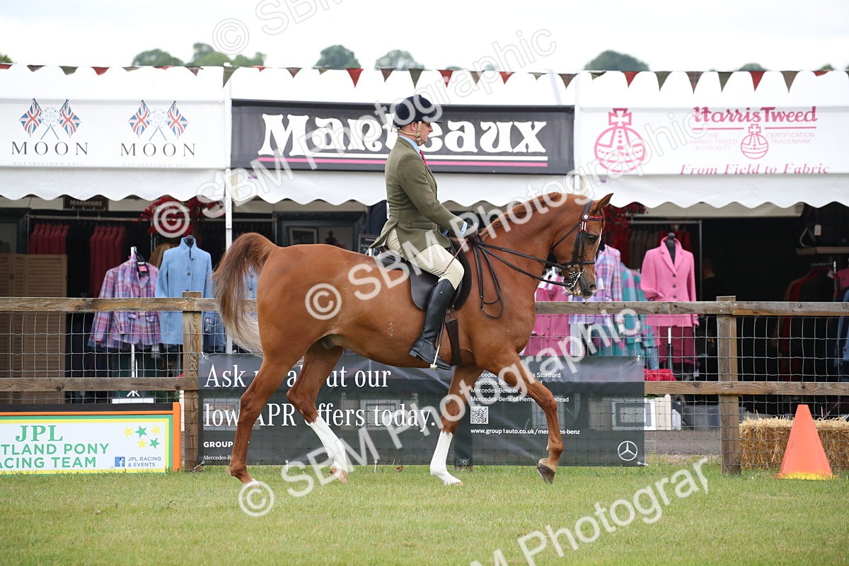 SBM_03599 - Class 21 - 22 - Ridden Arab and Part Bred/Anglo Arab