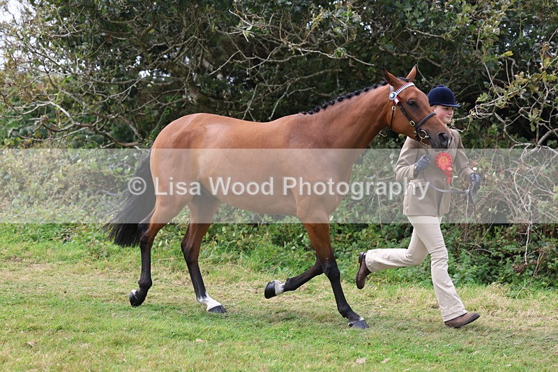 3E7A5660 - In Hand Championship