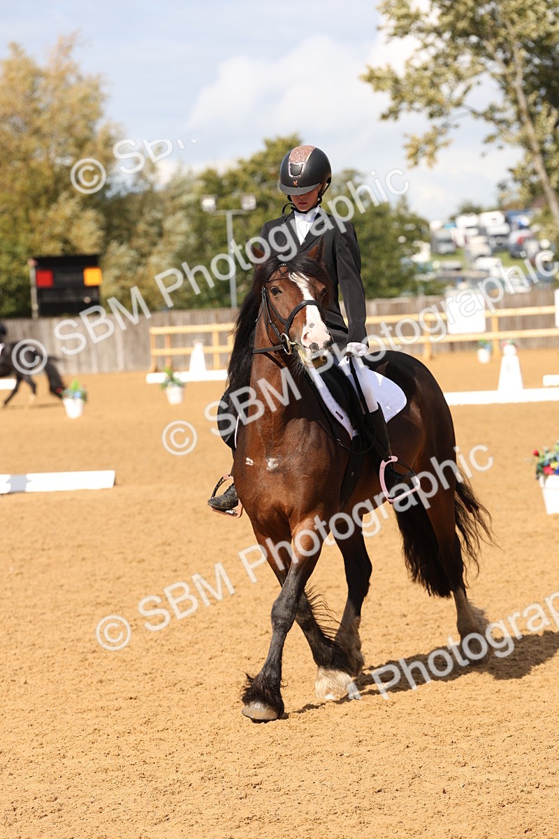 SBM_44201 - D6 - Small Tour Championship Intro 4