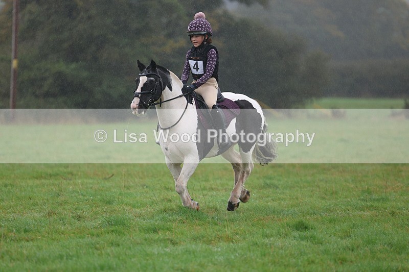 3E7A0804 - Class 1: 65cm: Rails