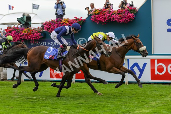 230823-Race 5-Forza Orta-4472 - Race 5 4.10pm Sky Bet Stayers Handicap