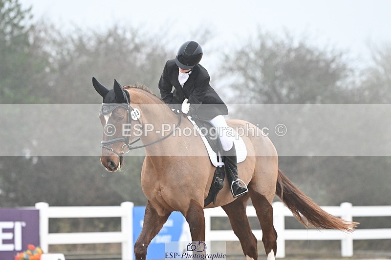 240217A-095524-00487 - 123-Daisy.Hedges-Felicia.v