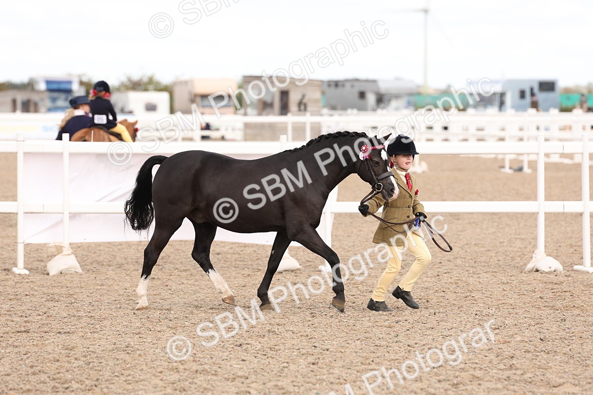 SBM_15153 - Class 209 - IH Veteran Pony