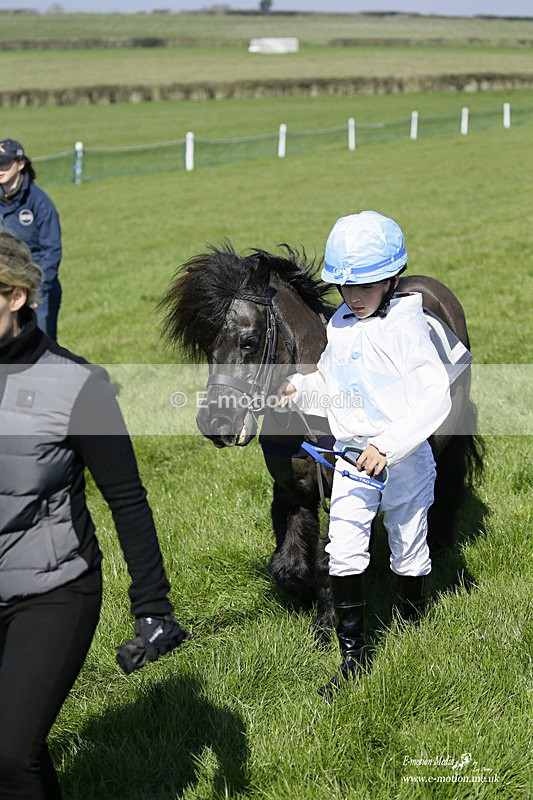 PtP 190322 66 - Wilton Hunt PtP Milborne St Andrew 19/03/22