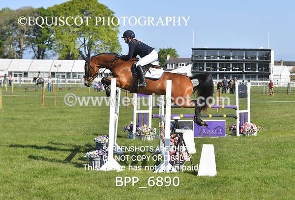 BPP_6890 - CLASS 1 Senior Newcomers/ 1.10m Open