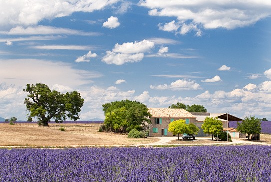  - France