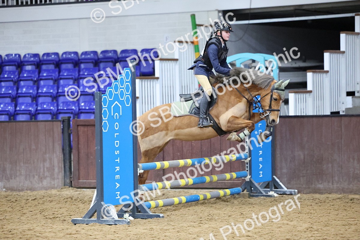 SBM_001005 - Class 3 - Christmas Tree Stakes - 60cm