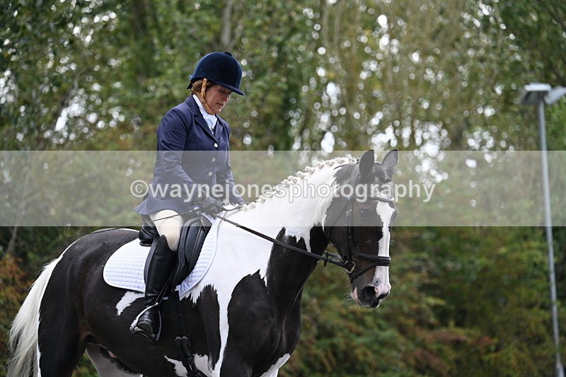 WJ7_3486 - Time 09:54 to 10:54