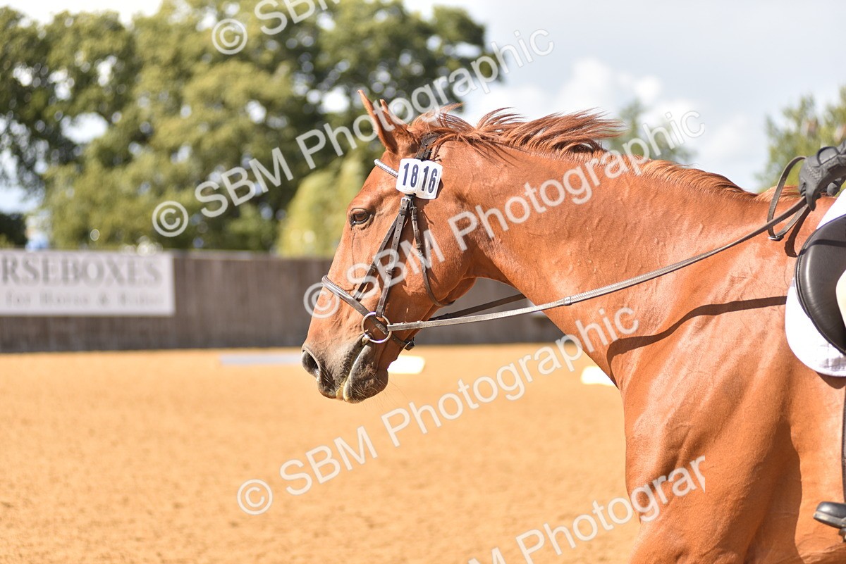 SBM_24234 - D4 - Small Tour Championship Intro 4