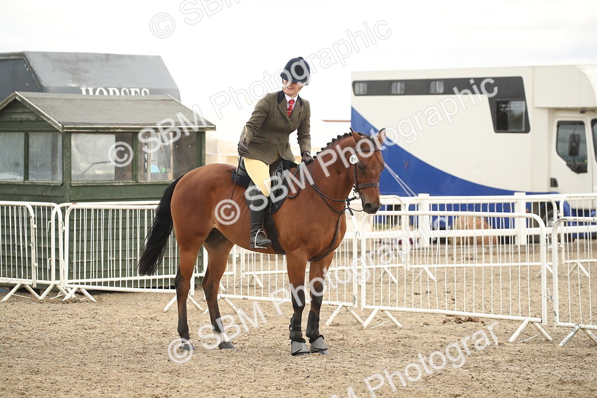 SBM_16656 - Class 507a - Working Veteran - 60cm (15-19)