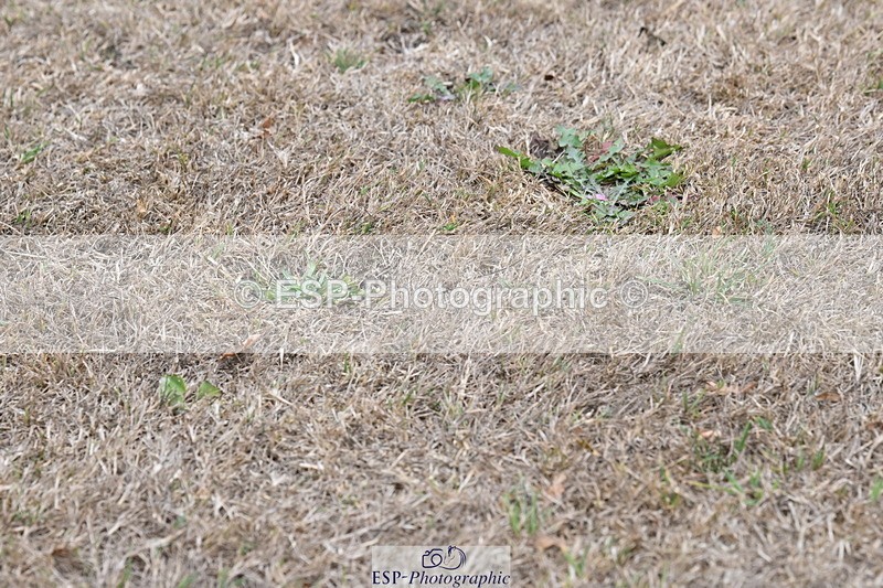 250820A-174548-12241 - Wednesday Presentations