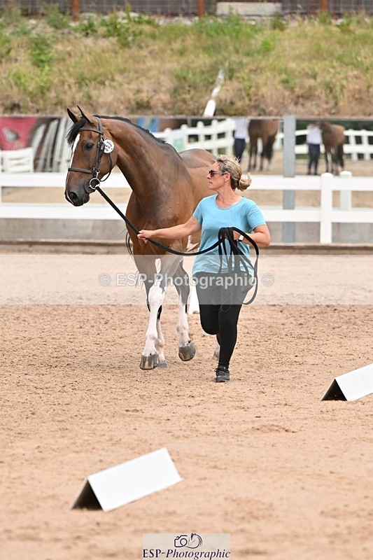 250716-144115-01302 - Trot Up 2.30 to 3.30