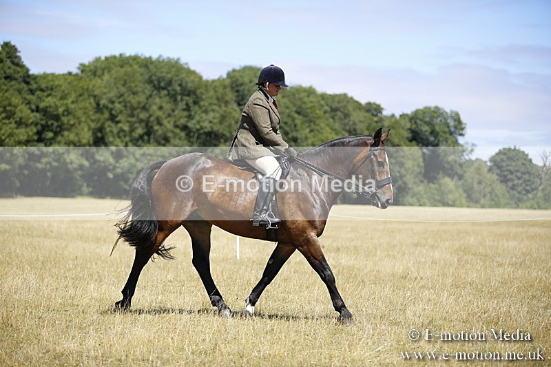 _C7A9831 - BVRC Show 2018 Ring 1