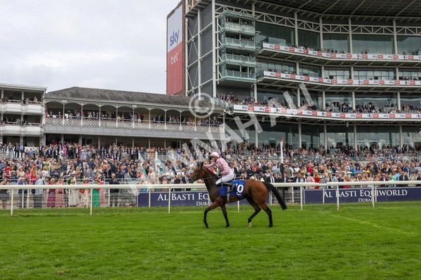 240823-Race 4-Warm Heart-5229 - Race 4 3.35pm Pertemps Network Yorkshire Oaks