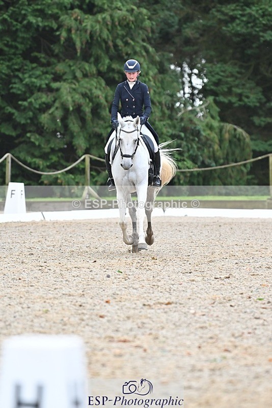 231019-122848-03113 - 114-LATINA'S.TWINKELING-Pippa.Haslam-DR