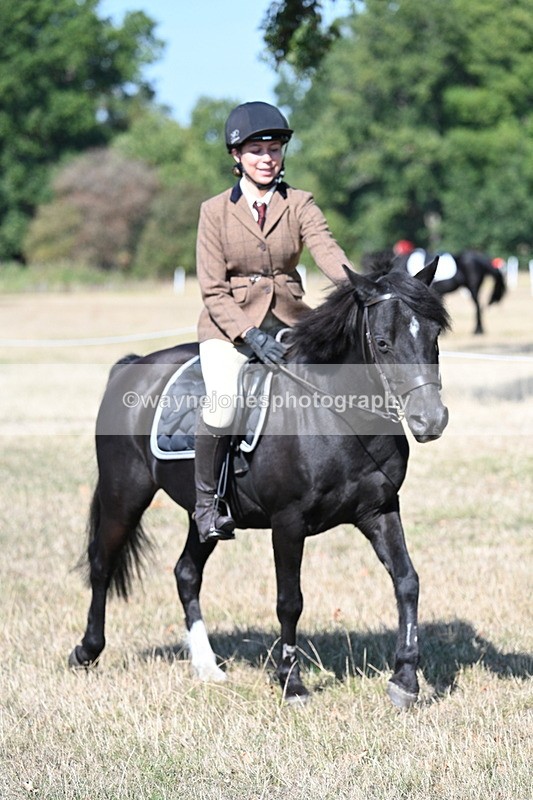 WJ7_3541 - Class 9 Mountain & Moorland Ridden