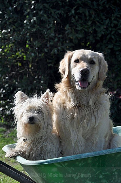 047jpg - Animals