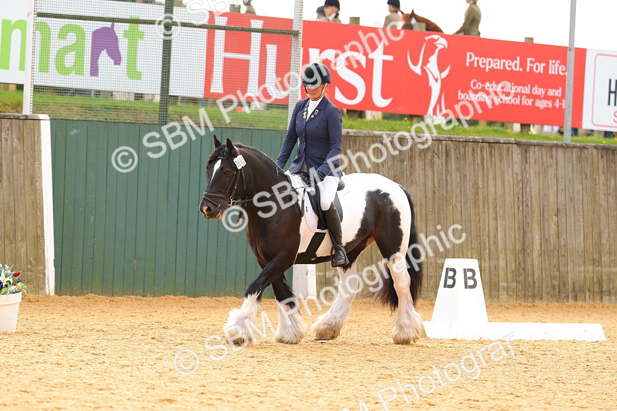 SBM_47422 - D6 - Small Tour Championship - Intro C