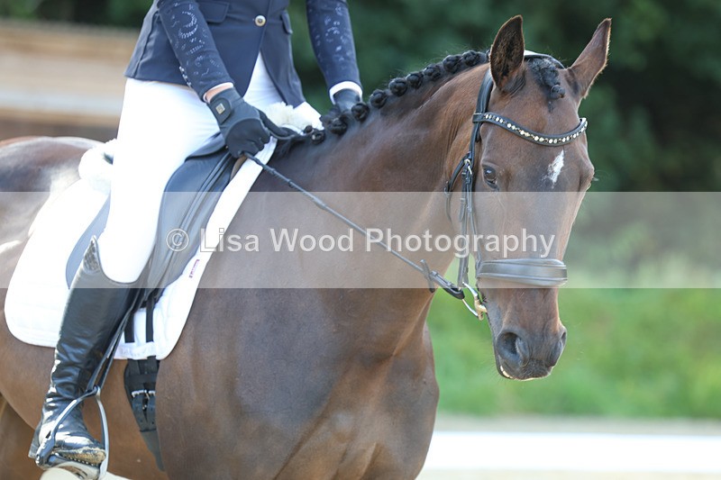 3E7A2113 - Class 1: Intro 4 2024 section A