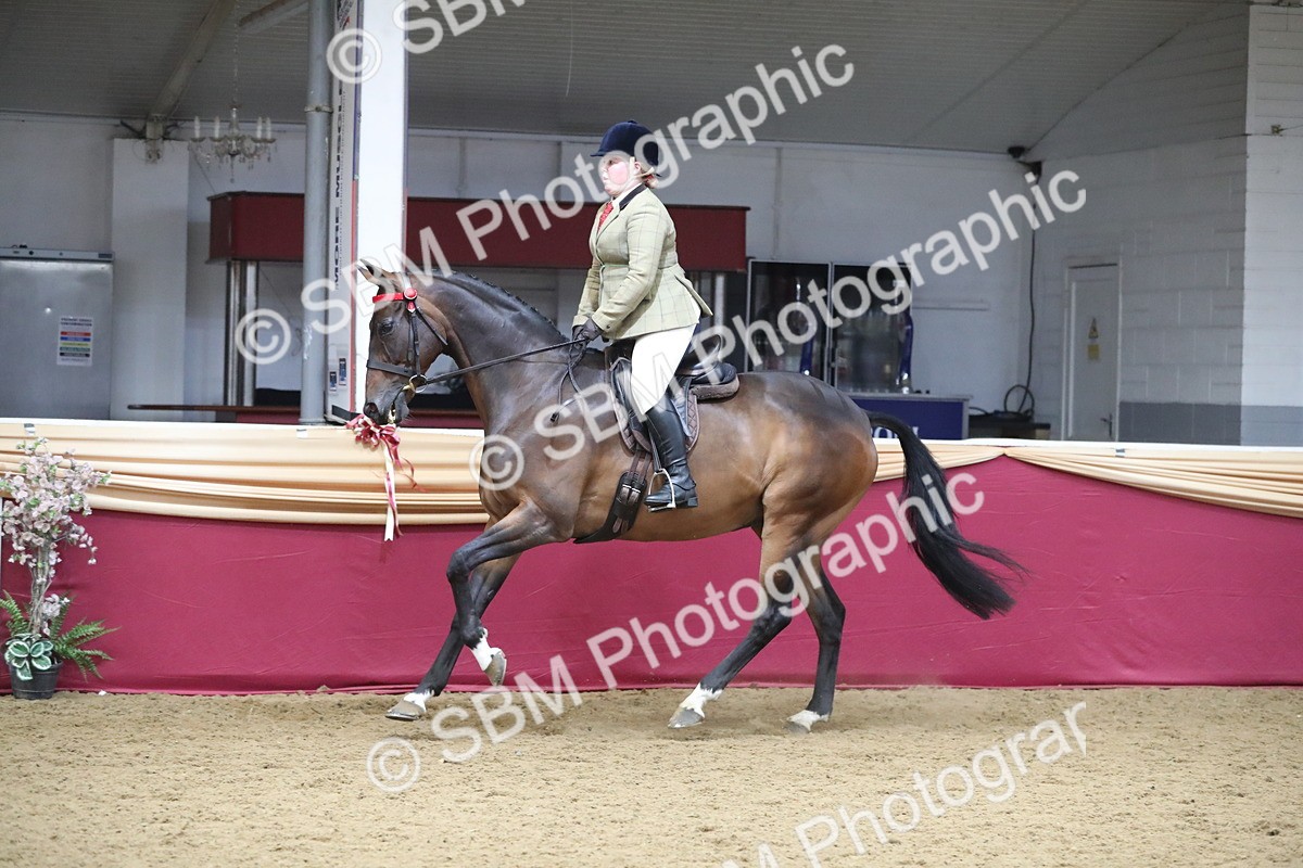 SBM_12352 - Class 108 Ridden Retired Racehorse- Pre Judging