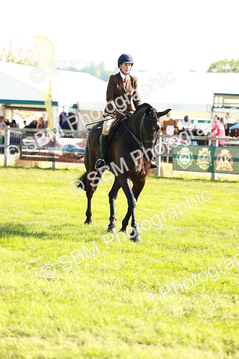 SBM_10903 - Class 66-69 - RIHS Ridden Hunters Inc Small Hunter