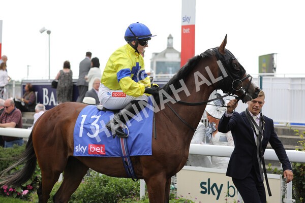 yr20082022r2-14 - Race 2 2.35pm Sky Bet Melrose Stakes