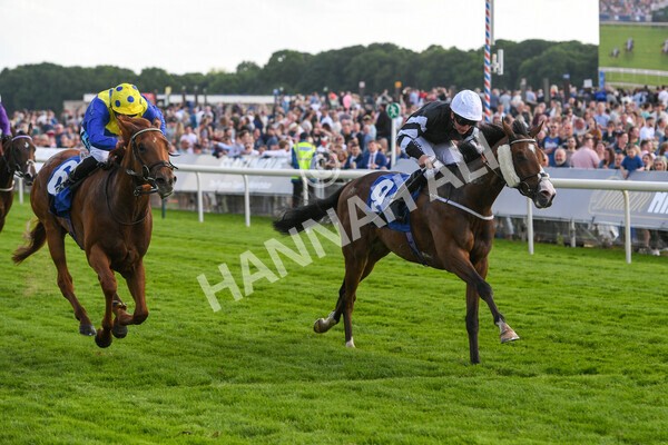 yr21052022r6-20 - Race 6: 4:42pm Yorkshire Regiment Stakes