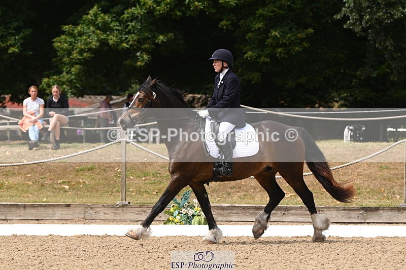 250720A-115654-10087 - 079-Amanda.Williams-Llanarth.Westminster