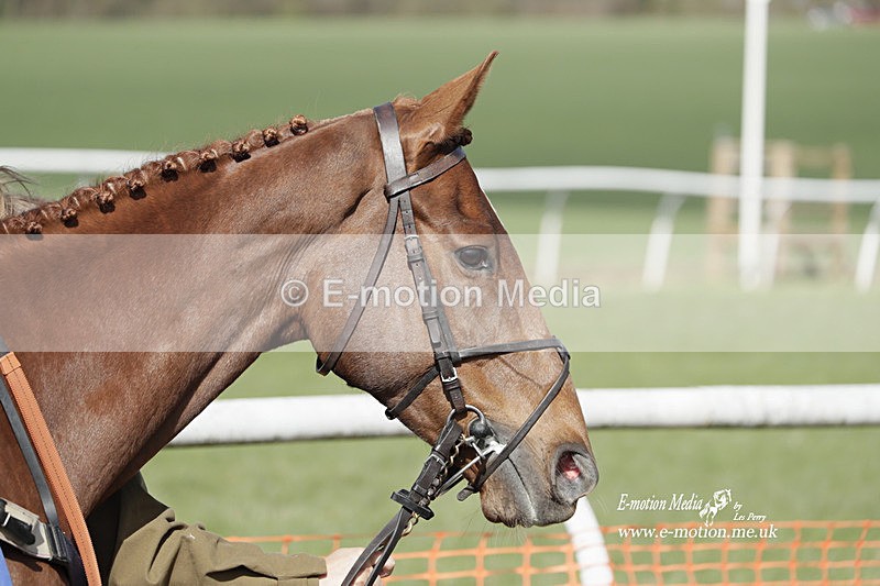 PtP 100423 813 - Old Berkshire Point-to-Point Lockinge 10/04/23