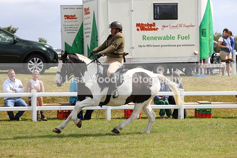 3E7A9783 - Class 5: Rising Star Lightweight/Heavyweight Cobs