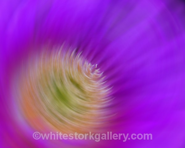 Purple Vortex - Digital Art