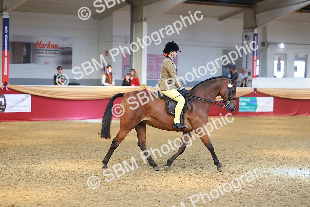 SBM_12587 - Class 103 - HOYS Veteran Qualifier - Ridden Pre Vet