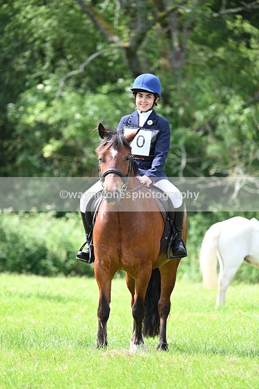 WJ7_1373 - Class 11 Condition & Turnout