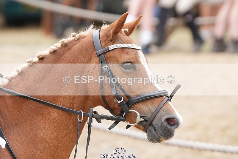 250820A-133530-06076 - Round 2, Start to 13.45 Break