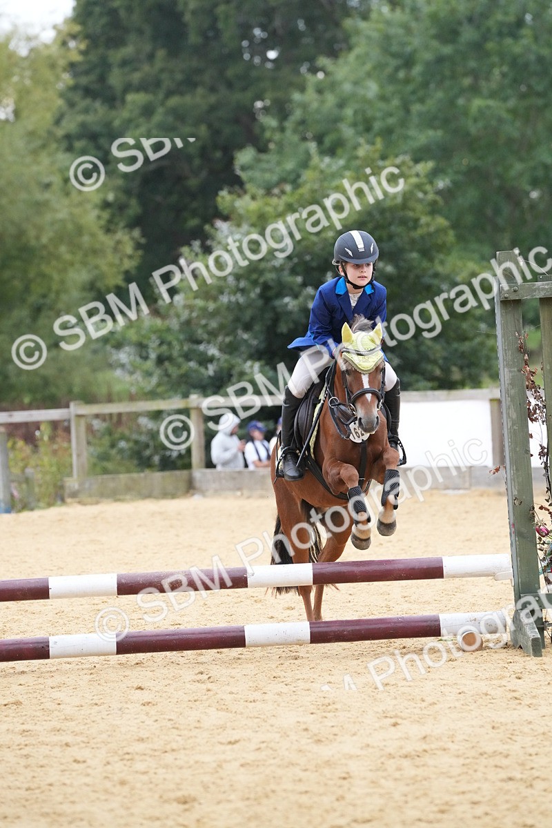 SBM_74527 - J4 - Mini Tour Junior Pony 45cm Championship