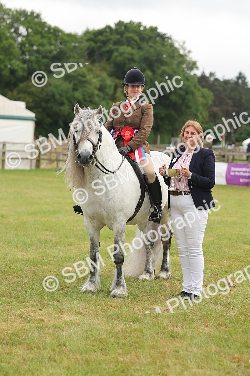 SBM_09152 - Class 78-80 - Ridden M&M Non Welsh Ponies