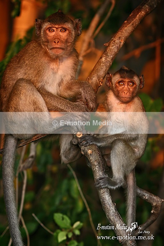 Sam Roi Rot 1204 10a - Nature