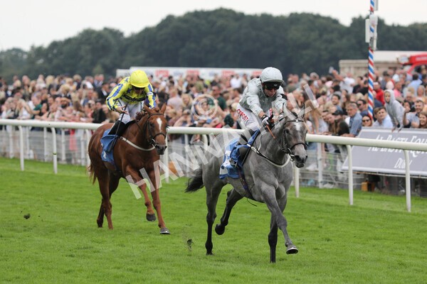 yr24072021r4-16 - Race 4 3.50pm Sky Bet Britain's Most Popular Online Bookmaker EBF Restricted Novice Stakes (Plus 10