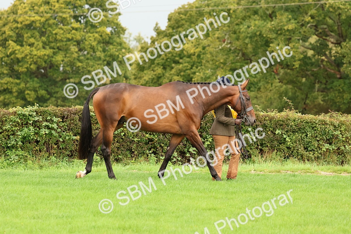 SBM_32900 - S8 - Best Turned Out