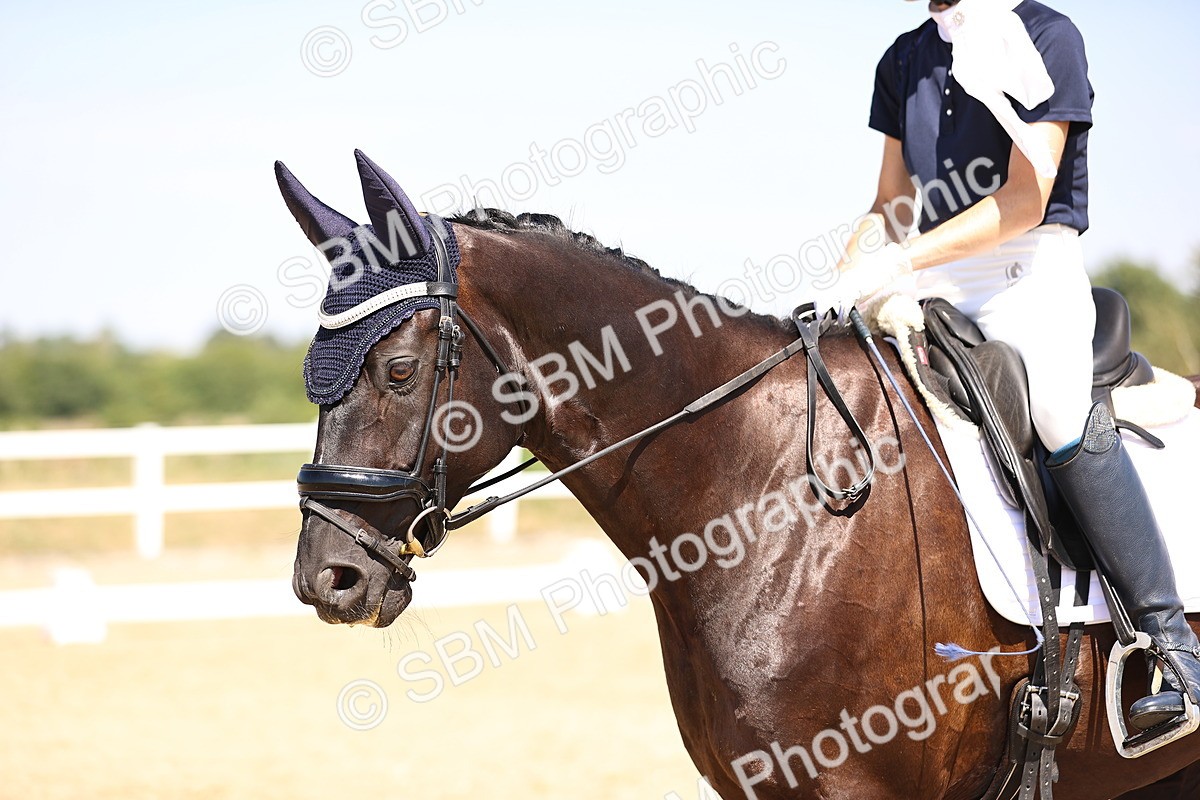 SBM_005528 - Elementary 4 Warm Up