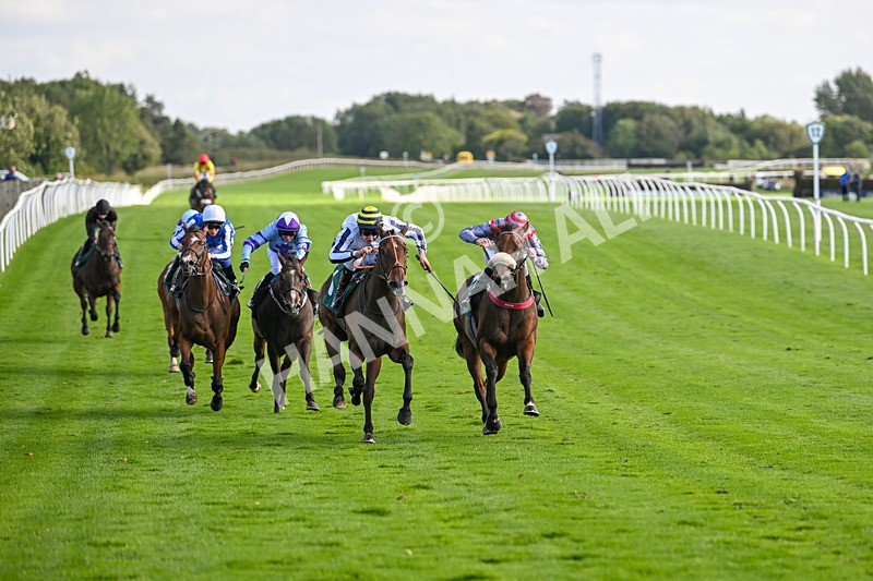 100924-Race 4-Scarboroughwarning-0326 - Race 4