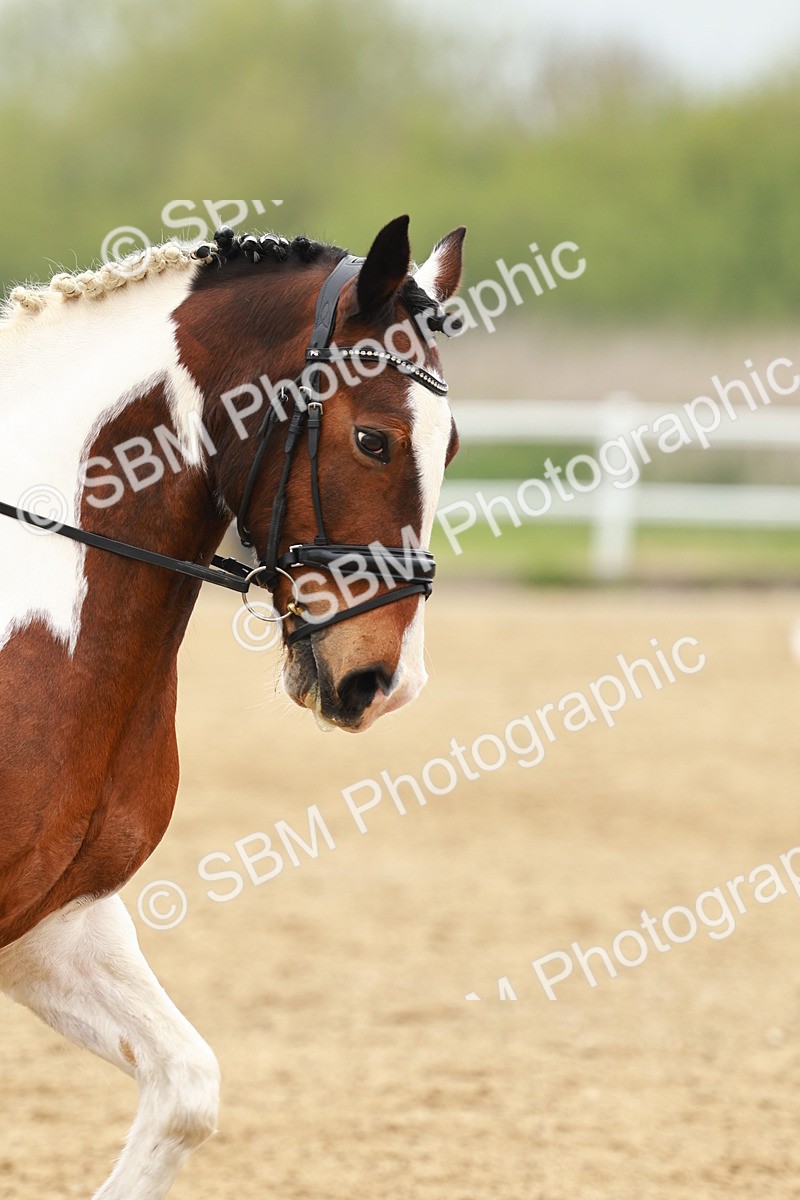 SBM_002078 - Class 9 - E4