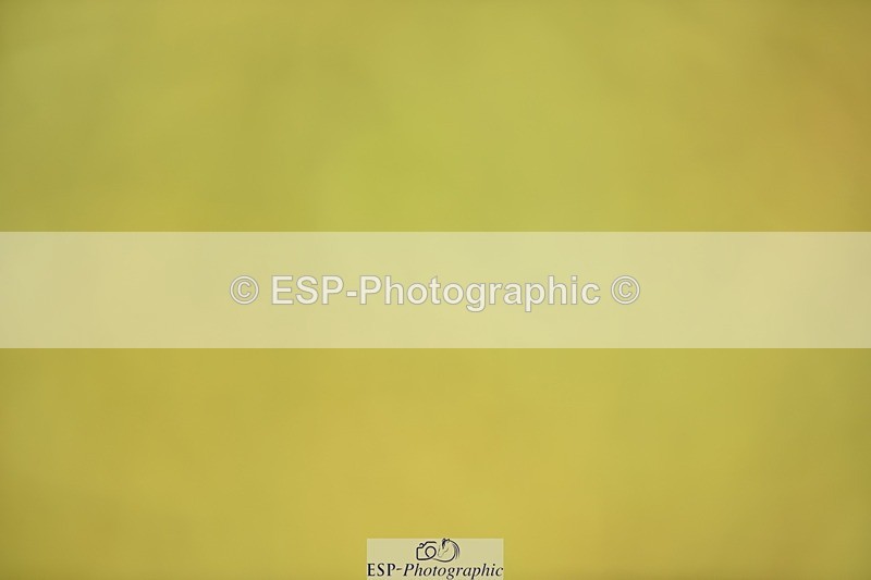 240523B-125122-02266 - 5 Year Old