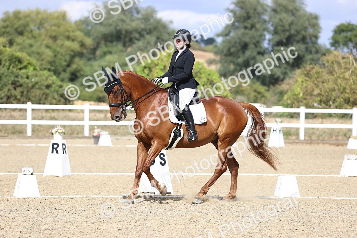 SBM_015261 - Class 5 - E5 Bronze 14.42.15.54