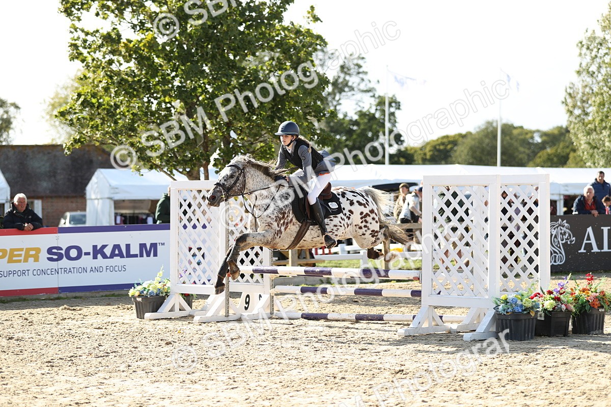 SBM_49630 - J22 - Junior Horse 65cm Championship