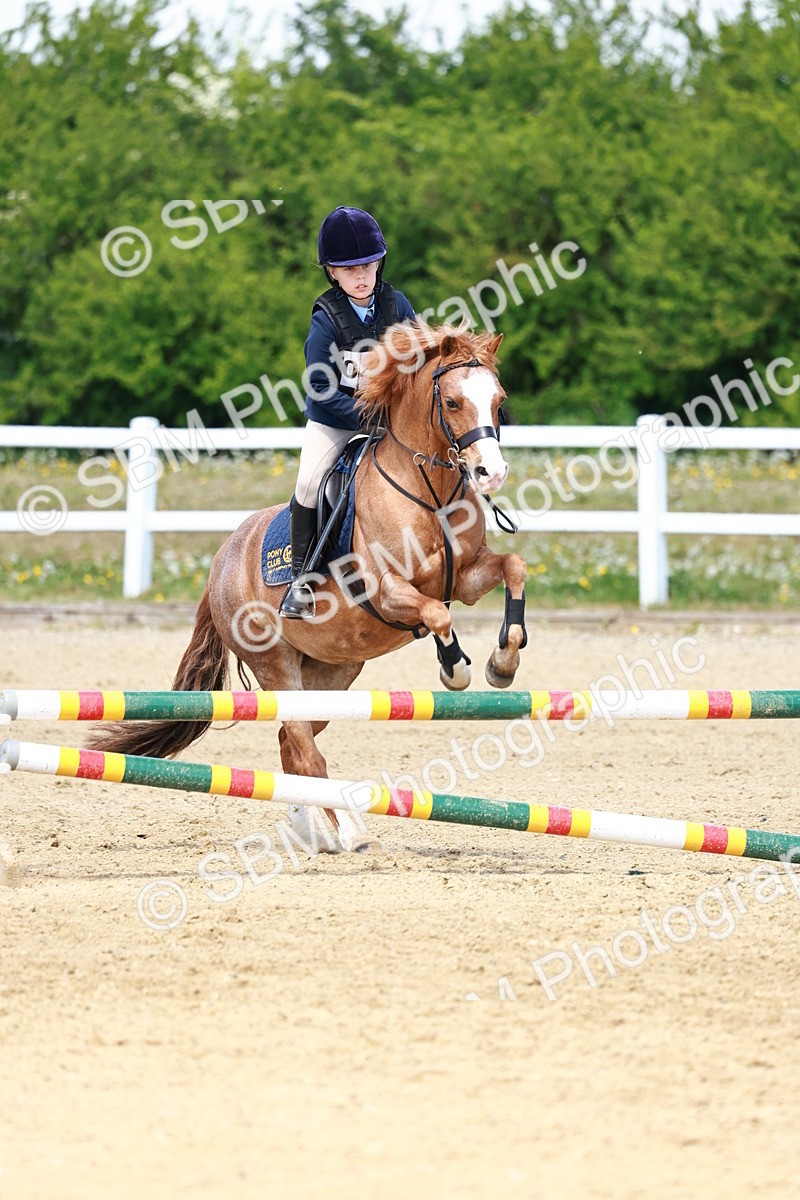 SBM_007726 - Class 3 - 60cm