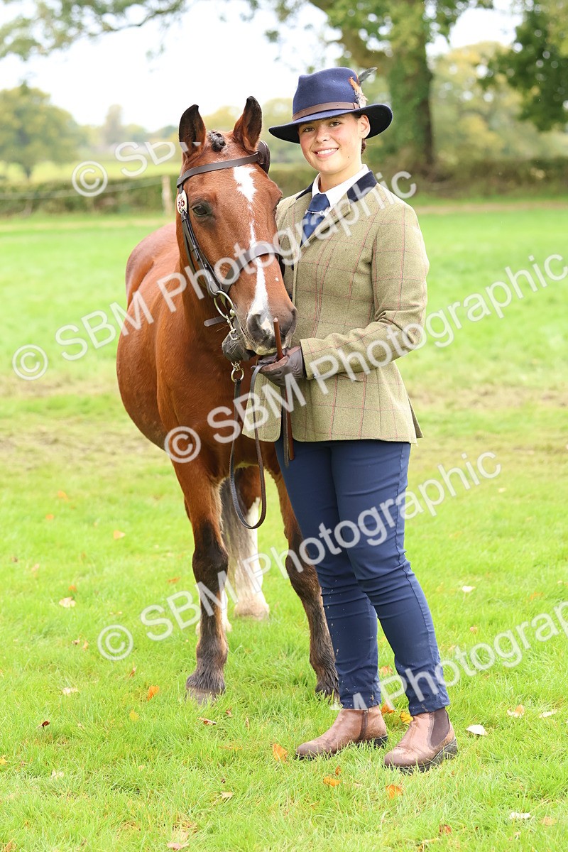 SBM_41737 - S26 - Mature Veteran In Hand