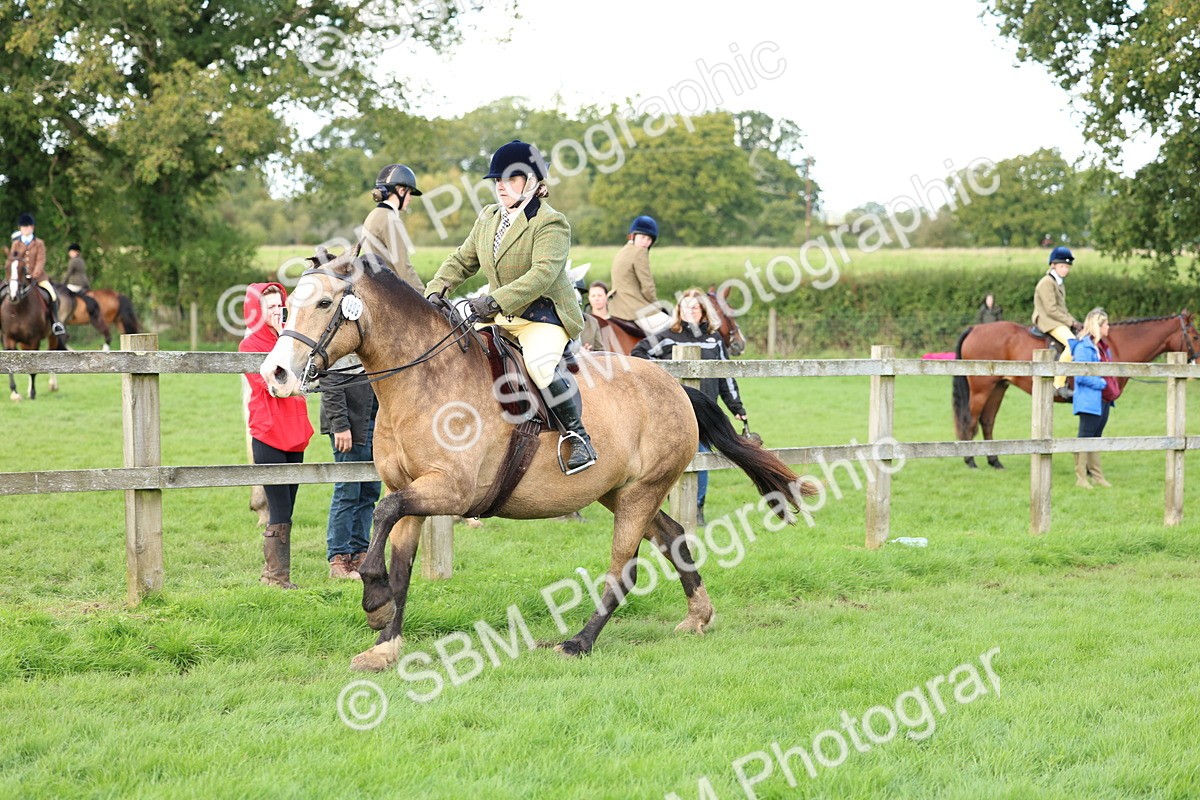 SBM_45550 - S33 - Working Hunter Pony