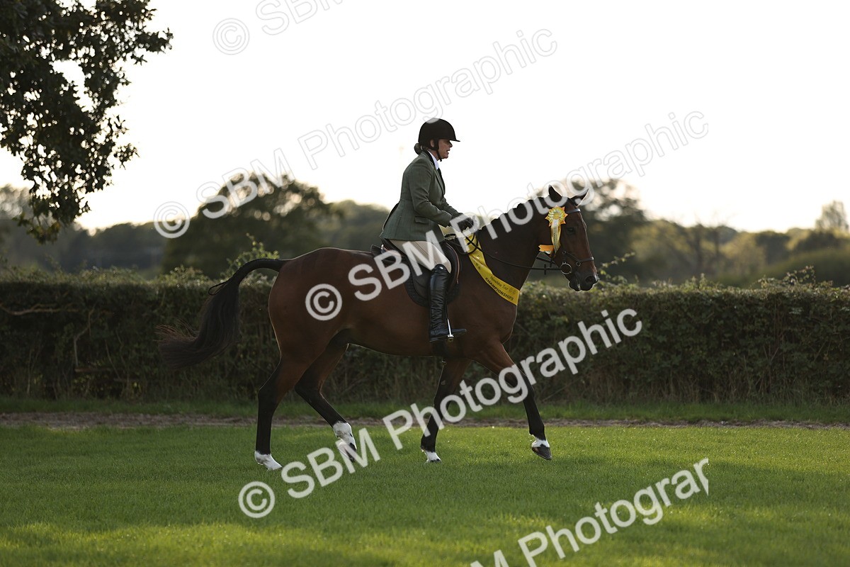 SBM_26506 - S6 - Novice & Newcomers Ridden Horse