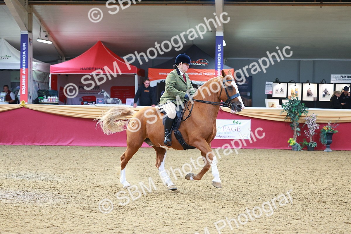 SBM_06110 - Class 12R - Ridden Pre-Vet